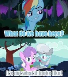 Size: 500x563 | Tagged: safe, edit, edited screencap, screencap, character:diamond tiara, character:rainbow dash, character:silver spoon, ship:silvertiara, episode:daring don't, episode:flight to the finish, g4, my little pony: friendship is magic, buh, caption, colored text, creepy, everfree forest, faec, female, flower, glasses, image macro, implied kissing, implied shipping, jewelry, lesbian, necklace, obsession, out of context, pearl necklace, shipper on deck, shipping, smug, smugdash, text, tiara, tree
