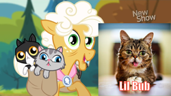 Size: 1440x810 | Tagged: safe, edit, edited screencap, screencap, character:goldie delicious, species:earth pony, species:pony, episode:pinkie apple pie, g4, my little pony: friendship is magic, cat, comparison, derp, female, goldie delicious' cats, irl cat, lil bub, mare, open mouth, raised hoof, saddle bag, tongue out