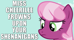 Size: 975x525 | Tagged: safe, edit, edited screencap, screencap, character:cheerilee, episode:the cutie pox, g4, my little pony: friendship is magic, caption, female, frown, image macro, reaction image, shenanigans, solo