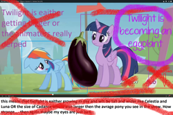 Size: 1280x851 | Tagged: safe, edit, screencap, character:rainbow dash, character:twilight sparkle, character:twilight sparkle (alicorn), species:alicorn, episode:rainbow falls, g4, my little pony: friendship is magic, bad edit, eggplant, eggplantification, height difference, text