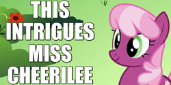 Size: 800x400 | Tagged: safe, edit, edited screencap, screencap, character:cheerilee, episode:the cutie pox, g4, my little pony: friendship is magic, caption, female, image macro, intrigued, reaction image, smiling, solo