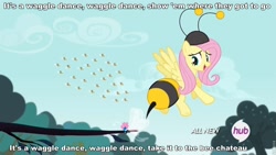 Size: 960x540 | Tagged: safe, edit, edited screencap, screencap, character:fluttershy, character:seabreeze, species:pegasus, species:pony, episode:it ain't easy being breezies, g4, my little pony: friendship is magic, animal costume, bee, bee costume, clothing, costume, female, flutterbee, hub logo, image macro, mare, meme, phineas and ferb, song reference