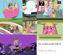 Size: 1700x1500 | Tagged: safe, edit, edited screencap, screencap, character:bon bon, character:cherry berry, character:linky, character:shoeshine, character:spike, character:sweetie drops, species:earth pony, species:pony, episode:luna eclipsed, episode:putting your hoof down, episode:the mysterious mare do well, episode:too many pinkie pies, g4, my little pony: friendship is magic, aviator hat, background pony, balloon, bee costume, cart, clothing, collage, compilation, female, hat, hot air balloon, mare, nightmare night, pink text, rubbish, spider, surgery, trash, twinkling balloon