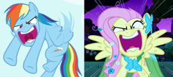 Size: 1602x719 | Tagged: safe, edit, edited screencap, screencap, character:fluttershy, character:rainbow dash, species:pegasus, species:pony, episode:maud pie, episode:the best night ever, g4, my little pony: friendship is magic, collage, comparison, cropped, duo, faec, female, flutterrage, mare, meme, open mouth, raging dash, you're going to love me
