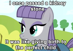 Size: 890x624 | Tagged: safe, edit, edited screencap, screencap, character:maud pie, episode:maud pie, g4, my little pony: friendship is magic, birth, female, image macro, kidney stone, meme, offspring, perfection, pun, rock, rock pun, solo, stone, that pony sure does love rocks