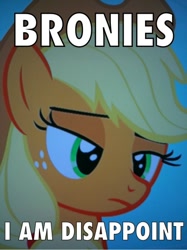 Size: 383x512 | Tagged: safe, edit, edited screencap, screencap, character:applejack, episode needed, female, image macro, meme, solo, son i am disappoint