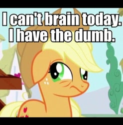 Size: 608x616 | Tagged: safe, edit, edited screencap, screencap, character:applejack, species:earth pony, species:pony, episode:applebuck season, g4, my little pony: friendship is magic, caption, cropped, derp, female, floppy ears, i cannot brain today, image macro, meme, solo