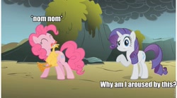 Size: 972x540 | Tagged: safe, edit, edited screencap, screencap, character:pinkie pie, character:rarity, episode:dragonshy, g4, my little pony: friendship is magic, aroused, duo, eyes closed, image macro, implied lesbian, implied raripie, implied shipping, looking at you, meme, mouth hold, nom, raised eyebrow, rubber chicken, shrug, smiling