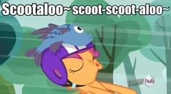 Size: 765x422 | Tagged: safe, edit, edited screencap, screencap, character:scootaloo, species:pegasus, species:pony, episode:sleepless in ponyville, g4, my little pony: friendship is magic, female, fish, image macro, meme, shoo be doo, sleeping, solo