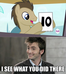 Size: 800x899 | Tagged: safe, edit, screencap, character:doctor whooves, character:time turner, episode:leap of faith, g4, my little pony: friendship is magic, 10, analysis, doctor who, i see what you did there, image macro, meme, reference, tenth doctor