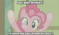 Size: 1199x718 | Tagged: safe, edit, edited screencap, screencap, character:pinkie pie, against glass, female, fourth wall, image macro, ponibooru, solo