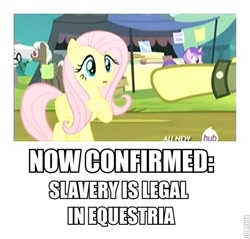 Size: 529x506 | Tagged: safe, edit, edited screencap, screencap, character:amethyst star, character:fluttershy, character:mr. waddle, character:sparkler, character:teddie safari, episode:trade ya, g4, my little pony: friendship is magic, caption, drama, drama bait, full set, op is a duck, op is trying to start shit, op started shit, overanalyzing, slavery