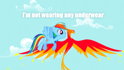 Size: 1280x720 | Tagged: safe, edit, edited screencap, screencap, character:philomena, character:rainbow dash, species:bird, species:pegasus, species:phoenix, species:pony, episode:a bird in the hoof, g4, my little pony: friendship is magic, captain obvious, caption, duo, female, flying, mare, rainbow's whispers, spread wings, we don't normally wear clothes, whispering, wings