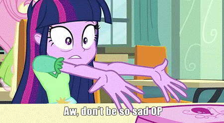 Size: 450x248 | Tagged: safe, edit, edited screencap, screencap, character:fluttershy, character:twilight sparkle, my little pony:equestria girls, animated, caption, computer, eyeshadow, fail, gif with captions, headdesk, image macro, incomplete twilight strong, laptop computer, meme, op, reaction image