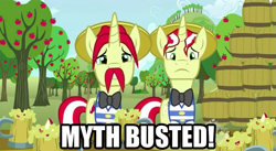 Size: 639x349 | Tagged: safe, edit, edited screencap, screencap, character:flam, character:flim, episode:the super speedy cider squeezy 6000, g4, my little pony: friendship is magic, caption, cider, duo, flim flam brothers, hub logo, image macro, mythbusters, sweet apple acres, wet mane