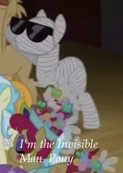 Size: 314x441 | Tagged: safe, edit, edited screencap, screencap, character:big wig, character:cultivar, episode:leap of faith, g4, my little pony: friendship is magic, invisible pony, mummy, not coco, parasprite