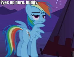 Size: 600x469 | Tagged: safe, edit, edited screencap, screencap, character:rainbow dash, episode:over a barrel, g4, my little pony: friendship is magic, cropped, female, image macro, lidded eyes, plot, solo, unamused