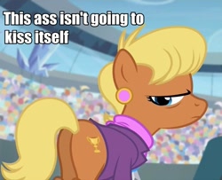 Size: 877x713 | Tagged: safe, edit, edited screencap, screencap, character:ms. harshwhinny, species:pony, episode:equestria games, g4, my little pony: friendship is magic, caption, female, kiss my ass, mare, plot, plot worship, solo, text