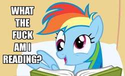 Size: 880x538 | Tagged: safe, edit, edited screencap, screencap, character:rainbow dash, episode:read it and weep, g4, my little pony: friendship is magic, book, derp, female, image macro, meme, reaction image, reading, solo, vulgar, what the fuck am i reading