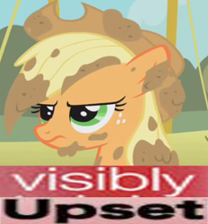 Size: 341x368 | Tagged: safe, edit, edited screencap, screencap, character:applejack, episode:fall weather friends, g4, my little pony: friendship is magic, cropped, expand dong, exploitable meme, female, frown, meme, messy mane, mud, muddy, solo, text