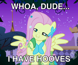 Size: 708x588 | Tagged: safe, edit, edited screencap, screencap, character:fluttershy, species:pegasus, species:pony, caption, female, high, image macro, mare, solo