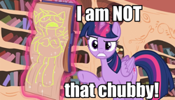 Size: 940x540 | Tagged: safe, edit, screencap, character:twilight sparkle, character:twilight sparkle (alicorn), species:alicorn, species:pony, episode:testing testing 1-2-3, g4, my little pony: friendship is magic, chubby, exploitable meme, female, i am not that tall, image macro, mare, meme, rainbow dash's centerfold, solo