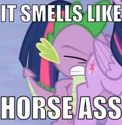 Size: 335x345 | Tagged: safe, edit, edited screencap, screencap, character:spike, character:twilight sparkle, character:twilight sparkle (alicorn), species:alicorn, species:pony, captain obvious, caption, faceful of ass, female, image macro, mare, meme, out of context, plot, spike running into twilight's rear, vulgar