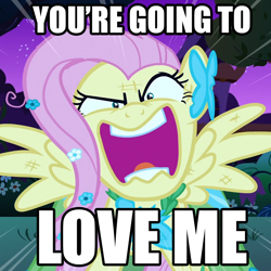 Size: 1080x1080 | Tagged: safe, edit, edited screencap, screencap, character:fluttershy, species:pegasus, species:pony, episode:the best night ever, g4, my little pony: friendship is magic, artifact, clothing, dress, female, flutterrage, gala dress, image macro, mare, meme, solo, text, you're going to love me