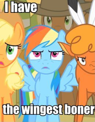 Size: 260x331 | Tagged: safe, edit, edited screencap, screencap, character:applejack, character:little strongheart, character:rainbow dash, episode:over a barrel, g4, my little pony: friendship is magic, caption, cropped, something else also rises, wingboner