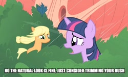 Size: 906x549 | Tagged: safe, edit, edited screencap, screencap, character:applejack, character:twilight sparkle, species:earth pony, species:pony, episode:look before you sleep, g4, my little pony: friendship is magic, caption, female, mare, tree