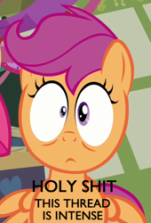 Size: 410x604 | Tagged: safe, edit, edited screencap, screencap, character:scootaloo, species:pegasus, species:pony, episode:hearts and hooves day, g4, my little pony: friendship is magic, cropped, image macro, meme, offscreen character, reaction image, shocked, solo focus, text, vulgar