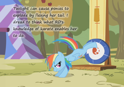 Size: 1020x720 | Tagged: safe, edit, edited screencap, screencap, character:rainbow dash, character:twilight sparkle, episode:fall weather friends, g4, my little pony: friendship is magic, bucking, explosion, female, insane pony thread, karate, kicking, solo, text