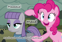 Size: 1070x720 | Tagged: safe, edit, edited screencap, screencap, character:maud pie, character:pinkie pie, episode:maud pie, g4, my little pony: friendship is magic, caption, insane pony thread, text