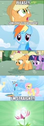 Size: 640x1800 | Tagged: safe, edit, edited screencap, screencap, character:applejack, character:fluttershy, character:rainbow dash, character:twilight sparkle, episode:sonic rainboom, episode:the cutie pox, g4, my little pony: friendship is magic, comic, coming out, exploitable meme, meme, screencap comic, truth meme