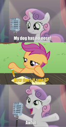 Size: 870x1677 | Tagged: safe, edit, edited screencap, screencap, character:scootaloo, character:sweetie belle, species:pegasus, species:pony, species:unicorn, episode:bloom and gloom, g4, my little pony: friendship is magic, bad sweetie belle joke, caption, clothing, curtains, duo, female, filly, foal, hat, image macro, meme, microphone, monty python, notepad, pencil, stage