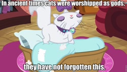 Size: 960x540 | Tagged: safe, edit, edited screencap, screencap, character:opalescence, episode:just for sidekicks, g4, my little pony: friendship is magic, cat, discworld, image macro, meme, quote, solo, terry pratchett