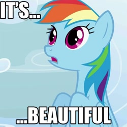 Size: 600x600 | Tagged: safe, edit, edited screencap, screencap, character:rainbow dash, species:pegasus, species:pony, episode:sonic rainboom, g4, my little pony: friendship is magic, female, flying, image macro, it's beautiful, mare, meme, open mouth, photoshop, reaction image, solo, text