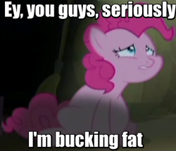 Size: 463x399 | Tagged: safe, edit, edited screencap, screencap, character:pinkie pie, episode:the cutie map, g4, my little pony: friendship is magic, eric cartman, fat, female, image macro, meme, pudgy pie, solo, south park, winnie the pink