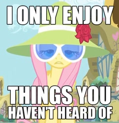 Size: 500x517 | Tagged: safe, edit, edited screencap, screencap, character:fluttershy, species:pegasus, species:pony, episode:green isn't your color, g4, my little pony: friendship is magic, clothing, female, glasses, hat, hilarious in hindsight, hipster, hipstershy, image macro, mare, meme, solo, text