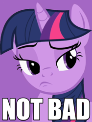 Size: 450x600 | Tagged: safe, edit, edited screencap, screencap, character:twilight sparkle, episode:the mysterious mare do well, g4, my little pony: friendship is magic, caption, female, image macro, meme, not bad, reaction image, solo