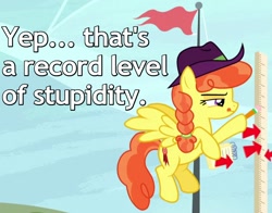 Size: 700x550 | Tagged: safe, edit, edited screencap, screencap, species:pegasus, species:pony, episode:appleoosa's most wanted, g4, my little pony: friendship is magic, arrow, braid, caption, clothing, cowboy hat, cropped, female, flag, flag pole, flying, hair tie, hat, image macro, mare, measuring, narrowed eyes, notebook, pencil, reaction image, record high, solo, squint, tongue out