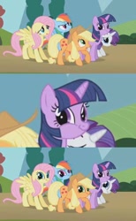 Size: 444x720 | Tagged: safe, edit, edited screencap, screencap, character:applejack, character:fluttershy, character:pinkie pie, character:rainbow dash, character:rarity, character:twilight sparkle, species:earth pony, species:pegasus, species:pony, species:unicorn, episode:swarm of the century, g4, my little pony: friendship is magic, season 1, applejack's hat, clothing, cowboy hat, facebomb, faec, floppy ears, hat, it's happened and now we can't stop it, mane six, meme, meme origin, origins, smiling, tenso, twiface, wrong neighborhood