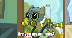 Size: 500x268 | Tagged: safe, edit, edited screencap, screencap, species:earth pony, species:pony, episode:bloom and gloom, g4, my little pony: friendship is magic, cropped, doctor who, max raid, pest pony, solo