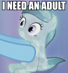 Size: 463x500 | Tagged: safe, edit, edited screencap, screencap, character:glass slipper, character:rainbow dash, species:crystal pony, species:pony, caption, cropped, dragonball z abridged, filly, hooves, i am an adult, i need an adult, image macro, meme, out of context, personal space invasion