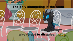 Size: 1600x900 | Tagged: safe, edit, edited screencap, screencap, character:daisy, character:sassaflash, species:changeling, episode:slice of life, g4, my little pony: friendship is magic, caption, english, kevin (changeling), offscreen character, sitting, solo focus, trio, wedding