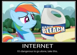 Size: 680x491 | Tagged: safe, edit, screencap, character:fluttershy, character:rainbow dash, episode:may the best pet win, g4, my little pony: friendship is magic, bleach, brain bleach, demotivational poster, it's dangerous to go alone, meme, motivational poster, the legend of zelda