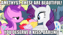 Size: 895x500 | Tagged: safe, edit, edited screencap, screencap, character:alula, character:amethyst star, character:pluto, character:rarity, character:sparkler, character:sugar cookie, episode:simple ways, g4, my little pony: friendship is magic, caption, image macro, implied shipping, meme, out of context, rarithyst, rose