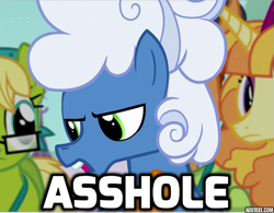 Size: 561x438 | Tagged: safe, edit, edited screencap, screencap, character:bittersweet, character:fluffy clouds, character:tropical dream, species:pony, episode:princess spike, g4, my little pony: friendship is magic, cropped, image macro, male, meme, solo focus, stallion, vulgar