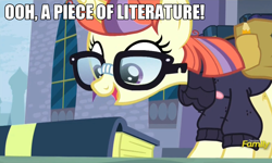 Size: 1280x767 | Tagged: safe, edit, edited screencap, screencap, character:moondancer, species:pony, species:unicorn, episode:amending fences, g4, my little pony: friendship is magic, book, clothing, family guy, female, glasses, image macro, james woods, mare, meme, solo, sweater