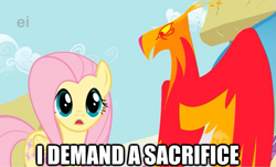 Size: 625x377 | Tagged: safe, edit, edited screencap, screencap, character:fluttershy, character:philomena, species:phoenix, episode:a bird in the hoof, g4, my little pony: friendship is magic, egyptian, horus, image macro